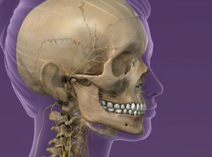 Sphenopalatine Ganglion (SPG) Block (Injection Technique) - Willis ...