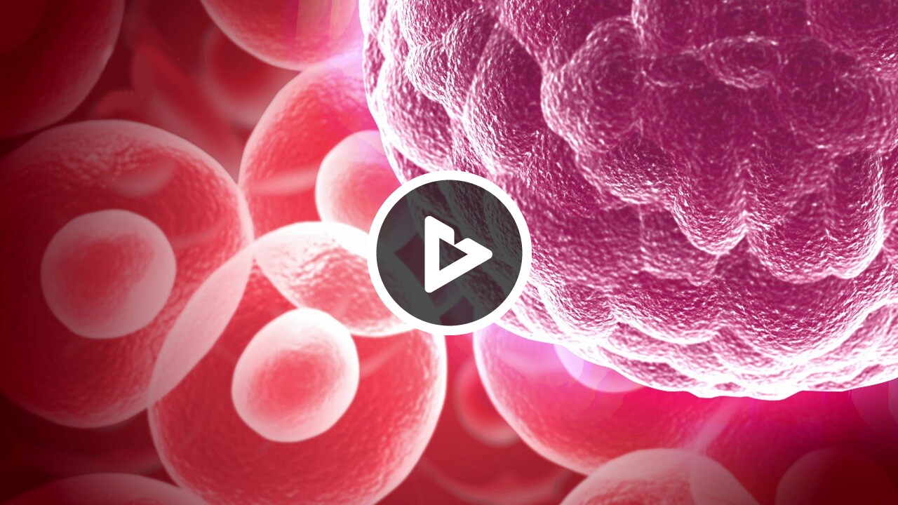 Cancer (Overview) - Disease & Condition Information - Willis Knighton ...